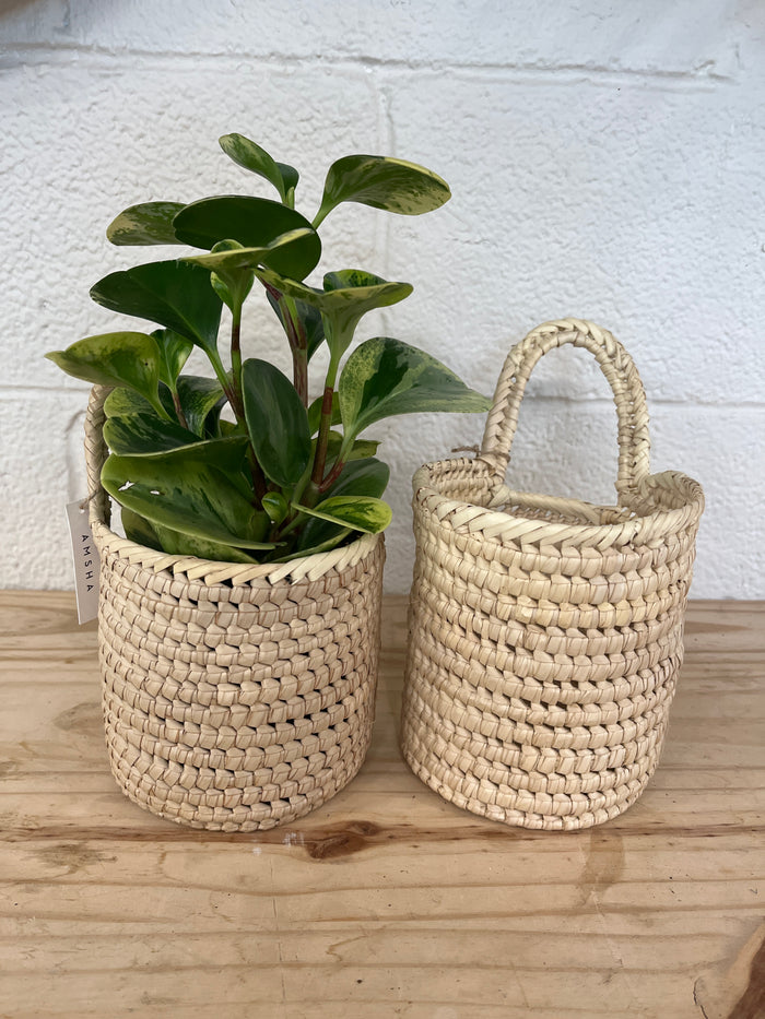 Cute Palm Hanging Plant Basket