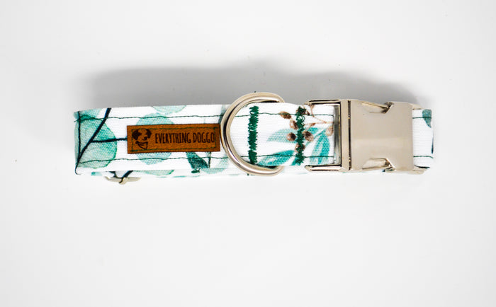 Eucalyptus Eco Canvas Dog Collar