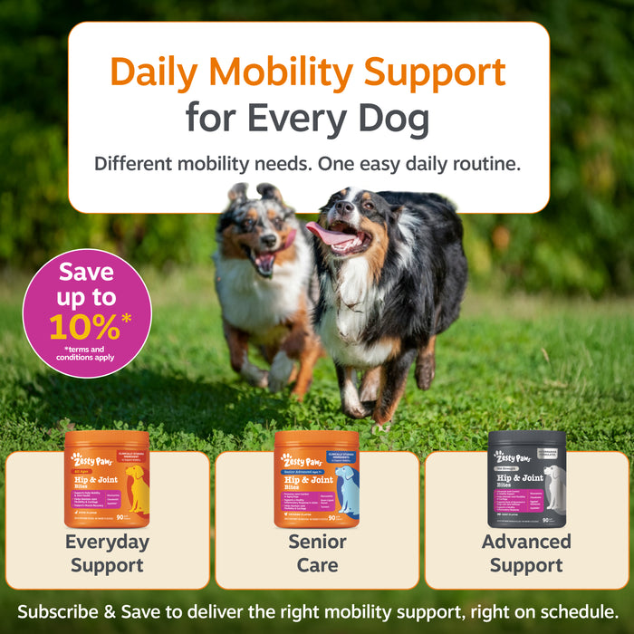 Three varieties of dog hip and joint supplement bites displayed with two dogs running on grass.