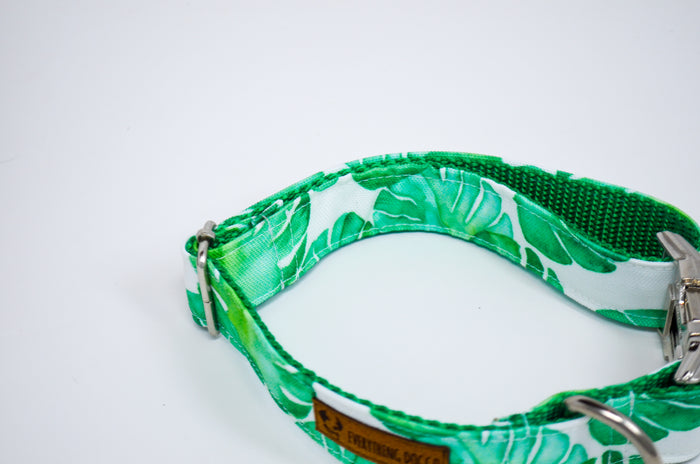 Monstera Eco Canvas Dog Collar