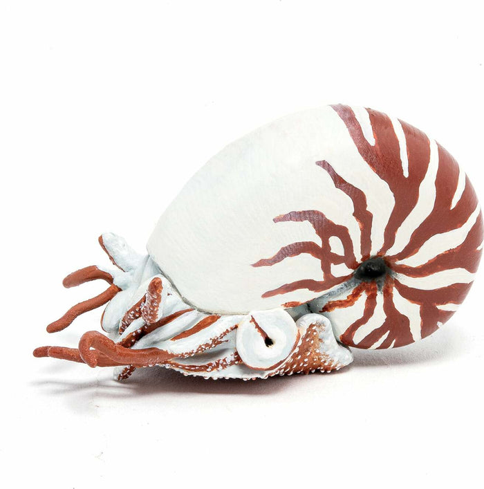 Papo France Nautilus