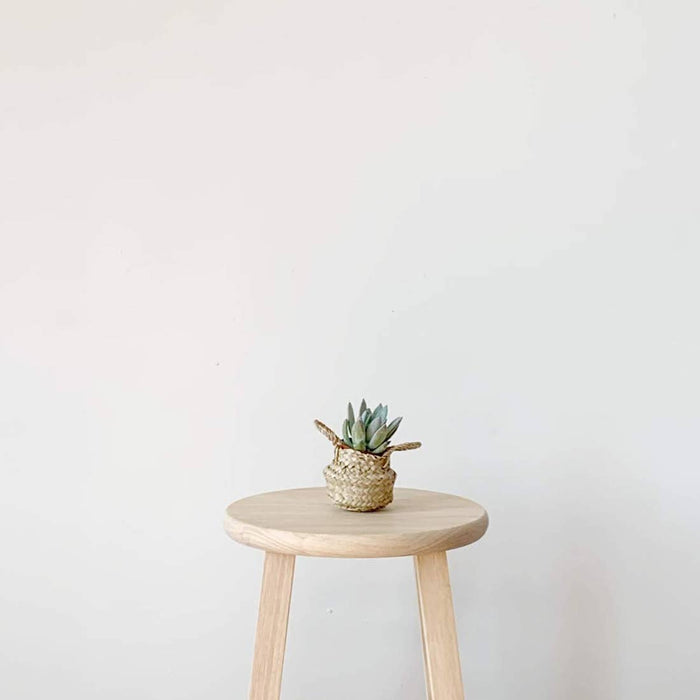 Pillowpia Belly Basket - Tiny