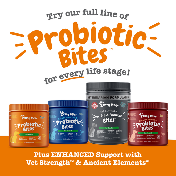 Four containers of Zesty Paw Probiotic Bites in orange, blue, gray, and red bottles with white labels.