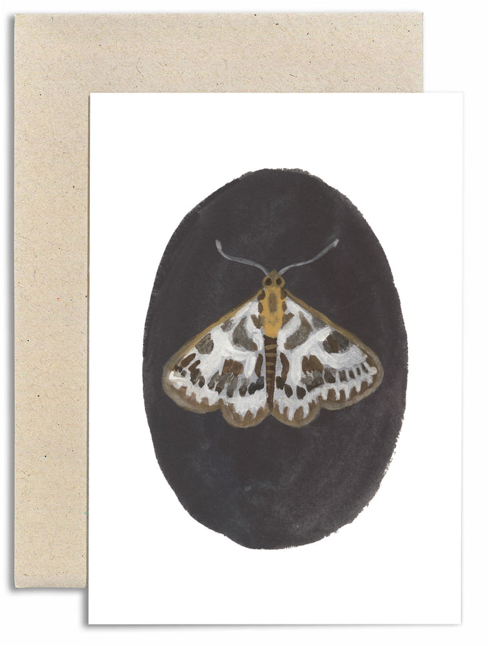 Small Magpie Moth Card