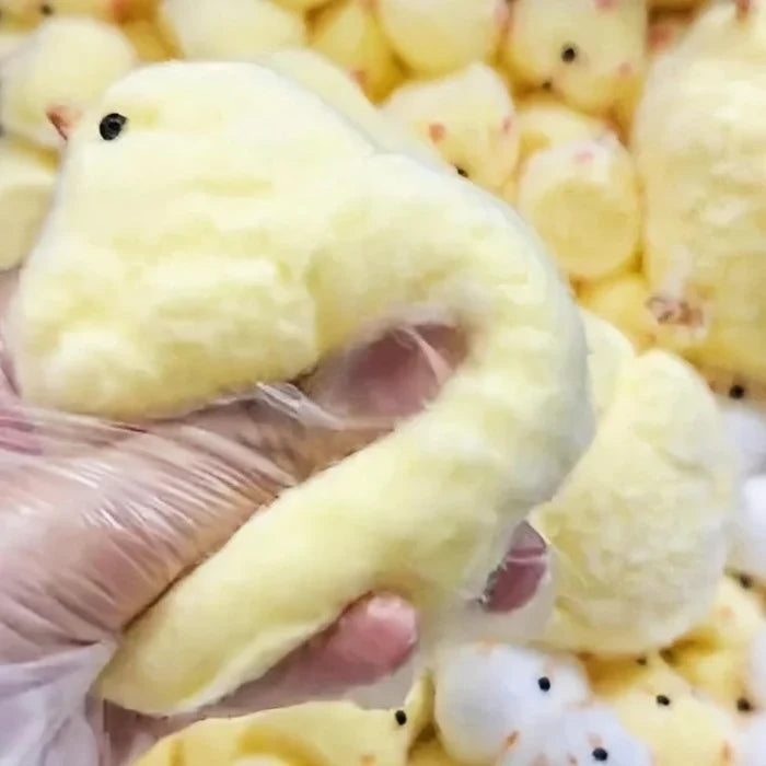 Squeeze Squad Taba Squishy Chick