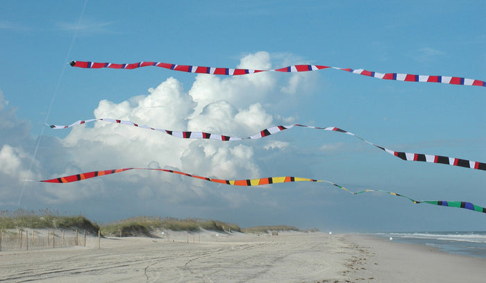 3 in. x 50 ft. Transition Tail - Rainbow