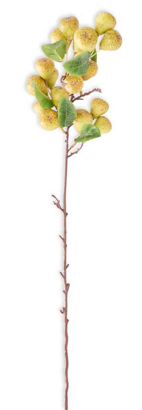 30 Inch Pear Stem