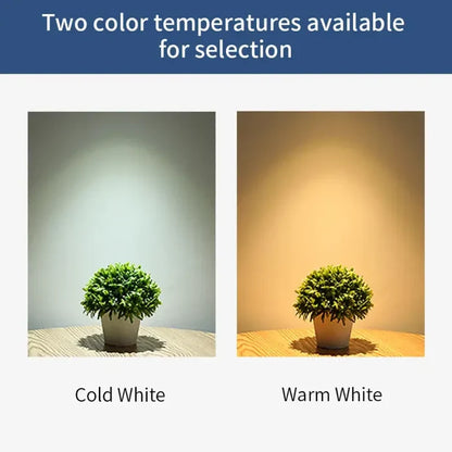 Two plants in a pot with the words cold and cold