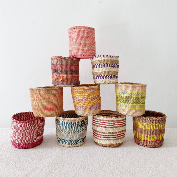 5" Assorted Basket Planter