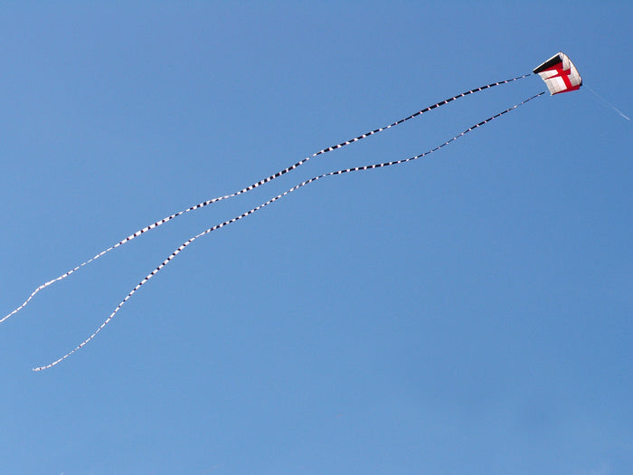 5 in. x 100 ft. Transition Tail - Black/White