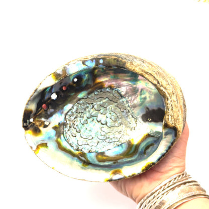 Abalone Shell — Ethically Sourced | Hand-Selected by Stacey | Reiki, Sound & Moon Energy Infused