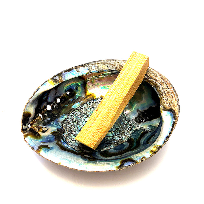 Abalone Shell — Ethically Sourced | Hand-Selected by Stacey | Reiki, Sound & Moon Energy Infused