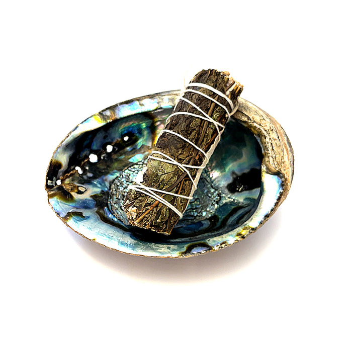 Abalone Shell — Ethically Sourced | Hand-Selected by Stacey | Reiki, Sound & Moon Energy Infused