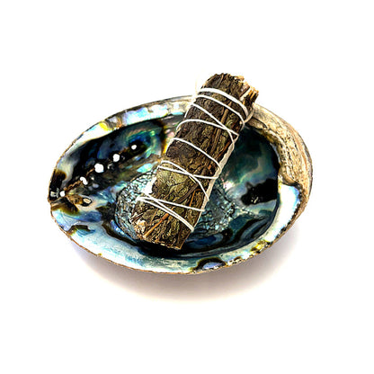 Abalone Shell — Ethically Sourced | Hand-Selected by Stacey | Reiki, Sound & Moon Energy Infused