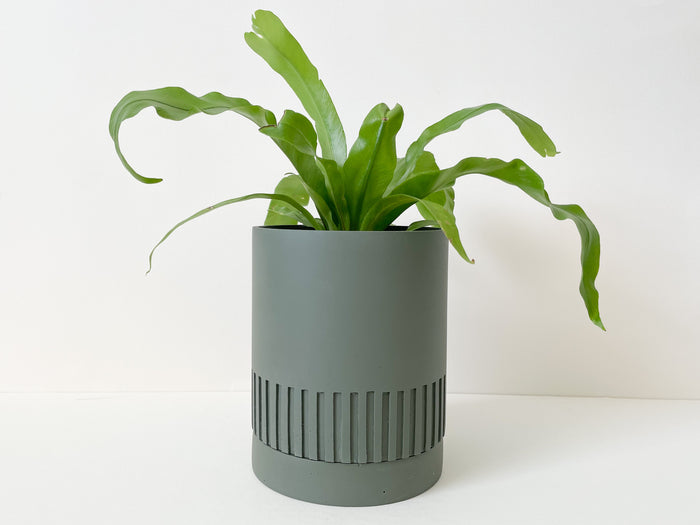 Agave Etch Pot
