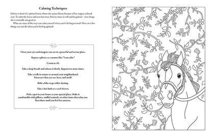 American Girl Coloring Journal