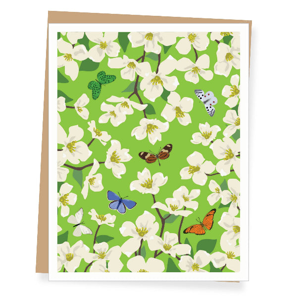 Apartment 2 Cards - Blank Dogwood Greeting Card (single or boxed)