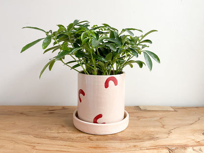 Arch Planter
