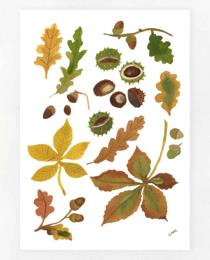Autumn Finds print