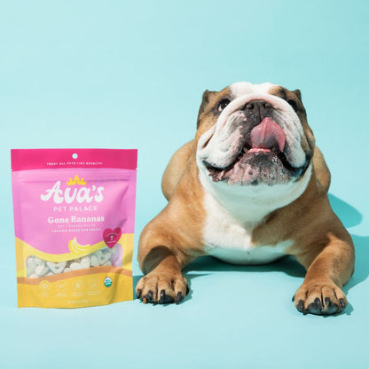 Ava's Pet Place Gone Bananas - Baked Dog Treats