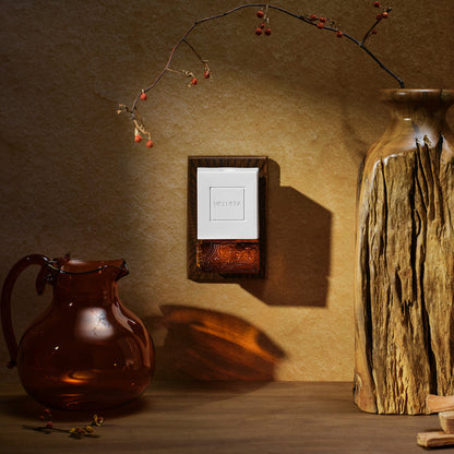 Baltic Amber - Wall Plug-In Starter Kit + Twin Refills Bundle