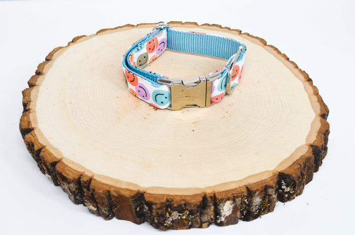 Be Happy (Bright) Eco Canvas Dog Collar