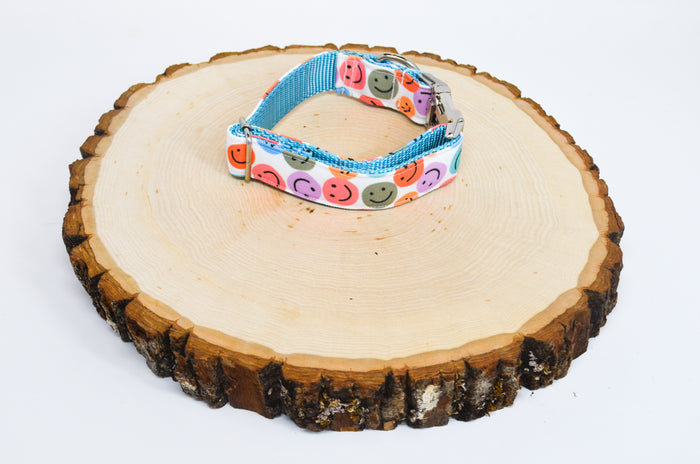 Be Happy (Bright) Eco Canvas Dog Collar