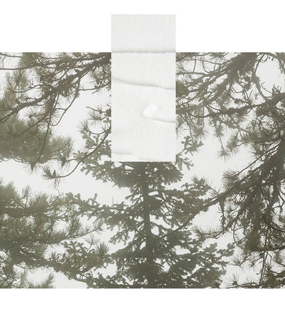 Black Pine 360° Eye-Lift Super Serum Skincare Korres