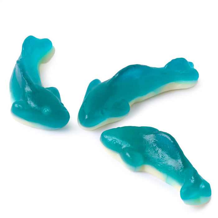 Blue Raspberry Two Toned Shark Gummy Candy - 6.6 LB
