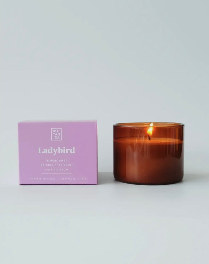 Ladybird