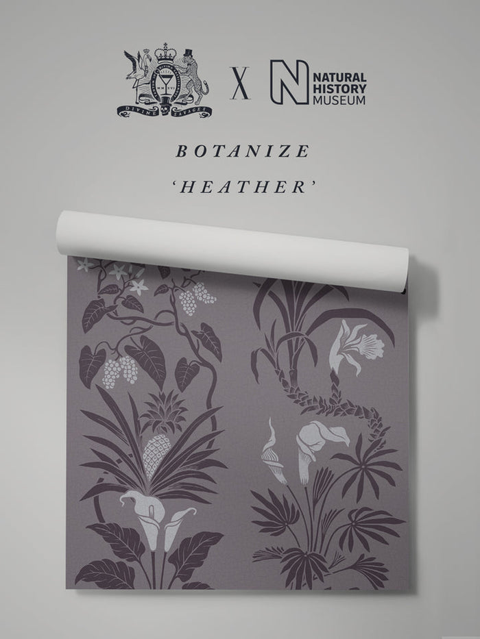 Heather