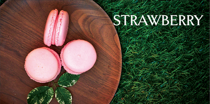 Build Your Own Macaron Box - Bakery Pick Up