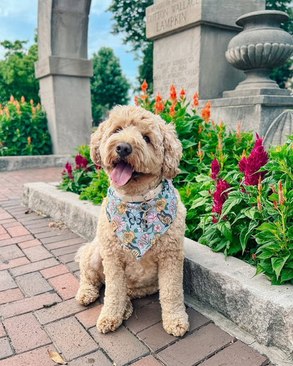 Butterfly Floral - Bandana