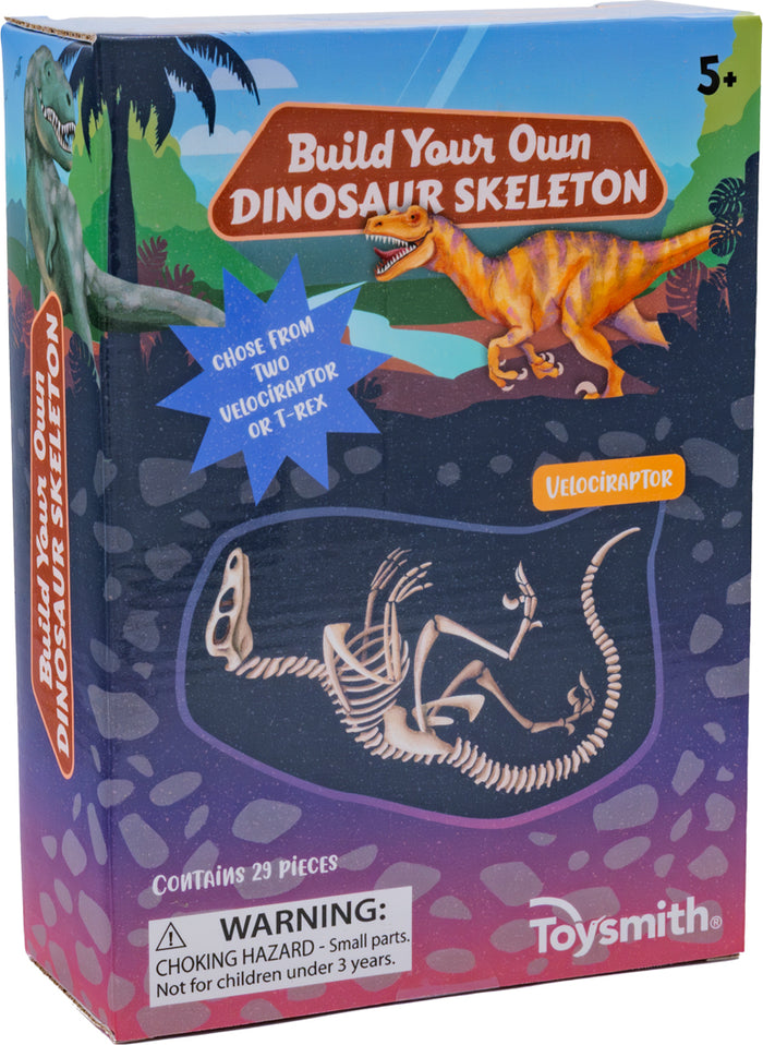 Toysmith BYO Dinosaur Skeleton
