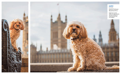 Canines of London