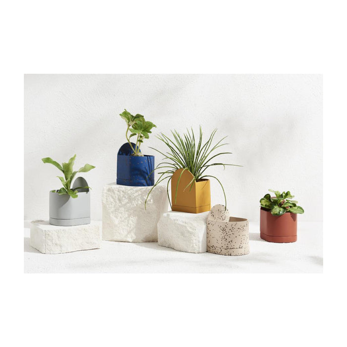 Capra Designs Sol Planter