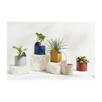 Capra Designs Sol Planter