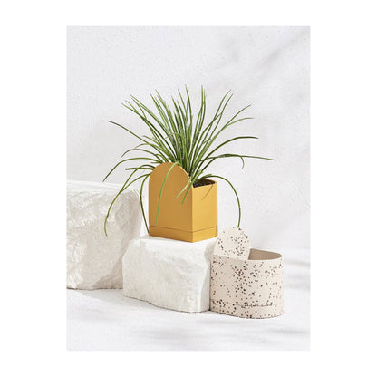 Capra Designs Sol Planter