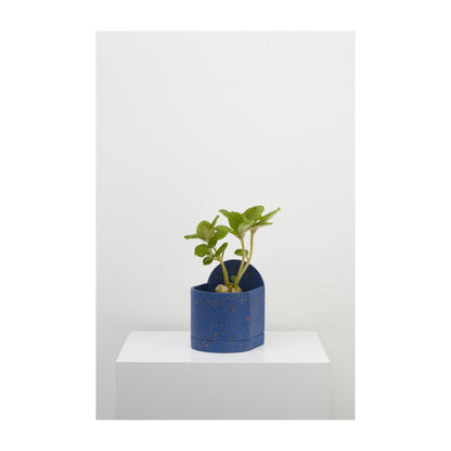 Capra Designs Sol Planter