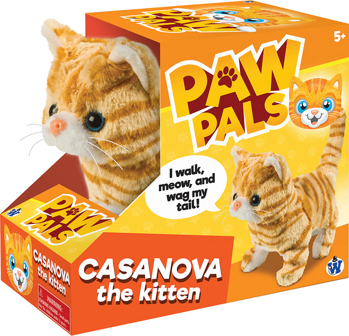 Casanova The Walking Kitten