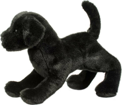 Chester Black Lab
