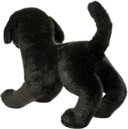 Chester Black Lab
