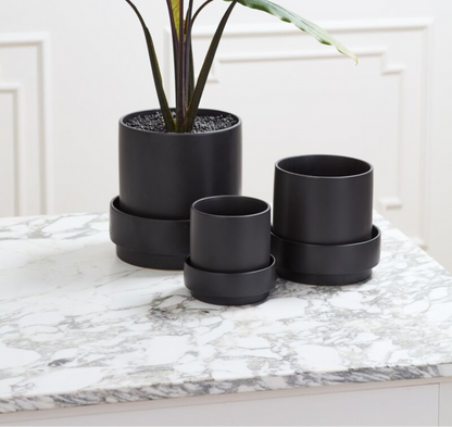 Claxton Pot
