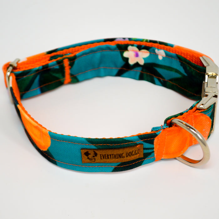 Clementine Eco Canvas Dog Collar