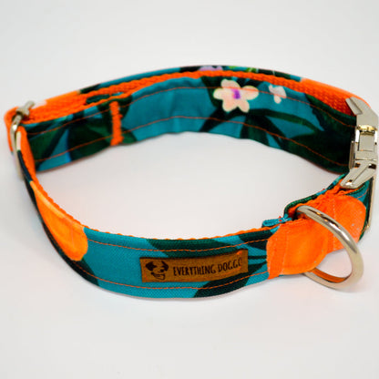 Clementine Eco Canvas Dog Collar