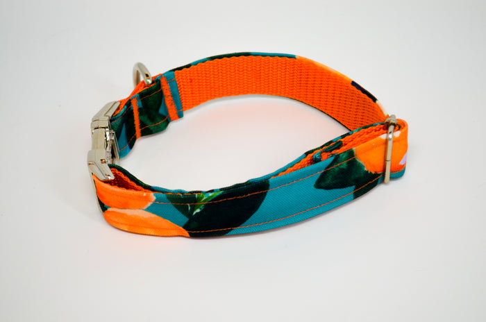 Clementine Eco Canvas Dog Collar