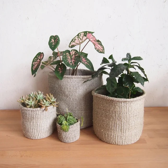 Cliffs Plant Basket