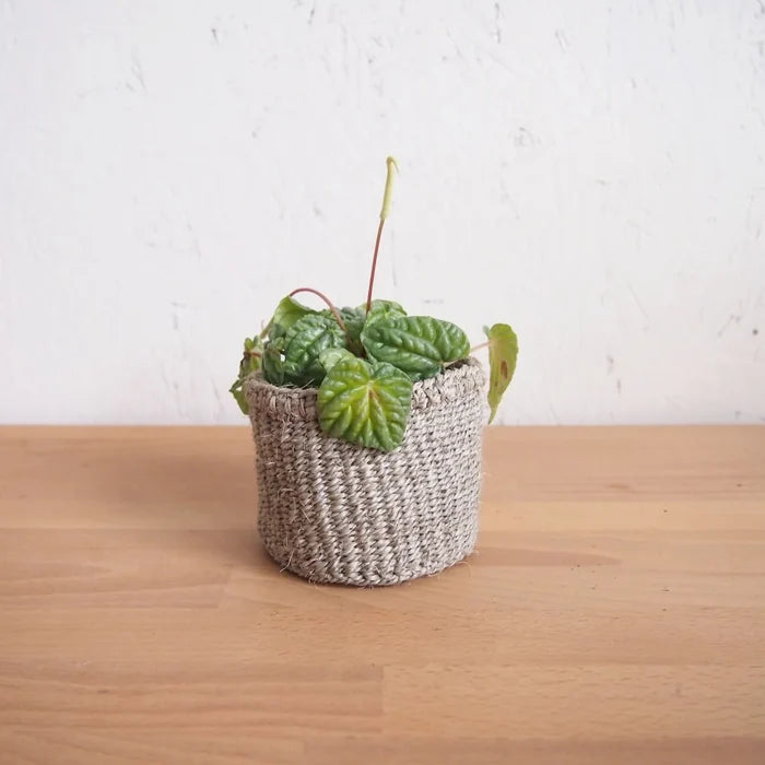 Cliffs Plant Basket