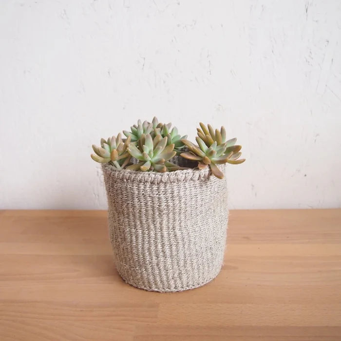 Cliffs Plant Basket