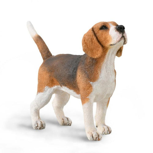 CollectA Dogs - Beagle